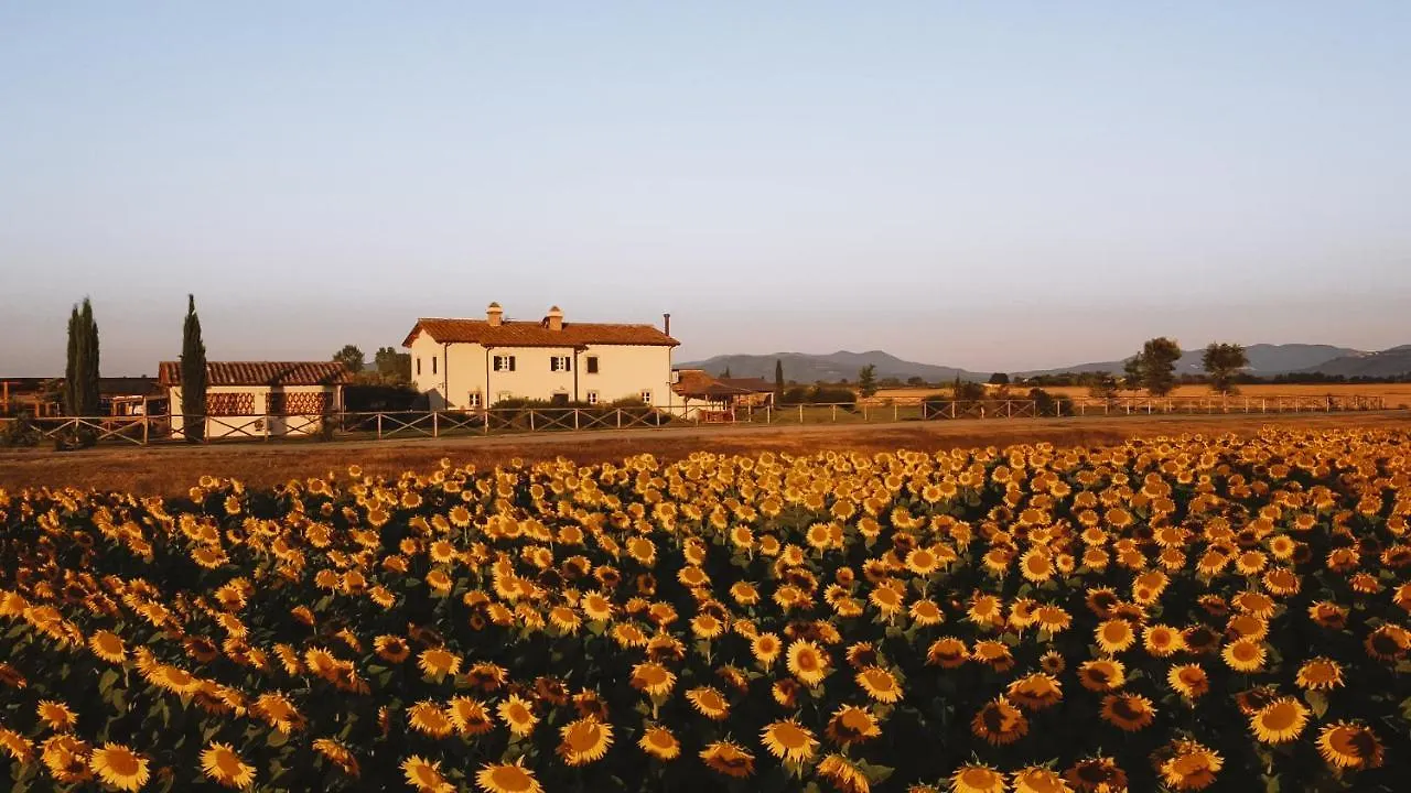 Casa Terzerie Bed & Breakfast Braccagni Italy
